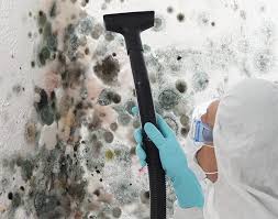 Best Residential Mold Inspection & Testing  in Argo, AL